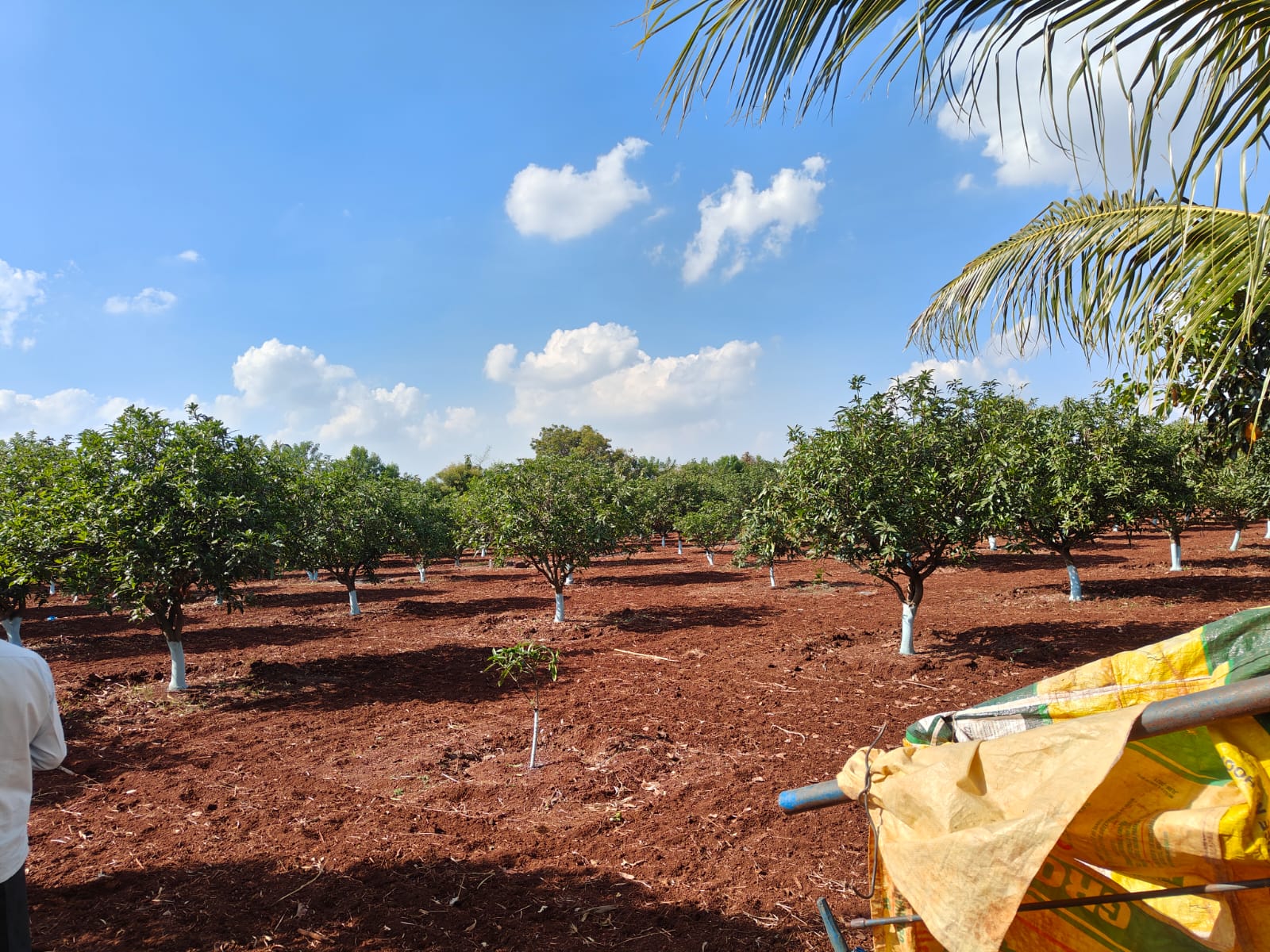 Farm-house selected for Kartheeka Vanabhojanalu in get-together party on 22-11-2023.